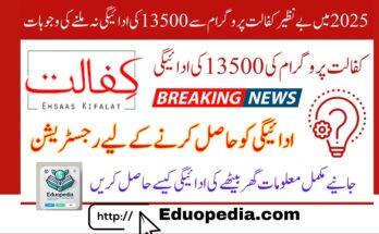 Benazir Kafalat Program 2025 – Rs. 13,500 Payment Update