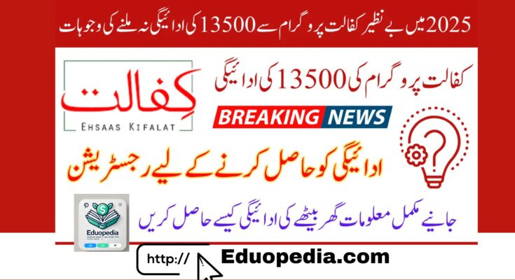 Benazir Kafalat Program 2025 – Rs. 13,500 Payment Update