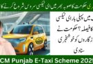 CM Punjab E-Taxi Scheme