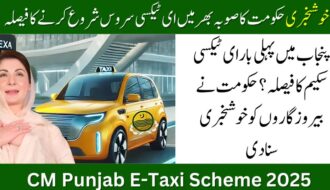 CM Punjab E-Taxi Scheme