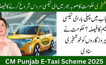 CM Punjab E-Taxi Scheme