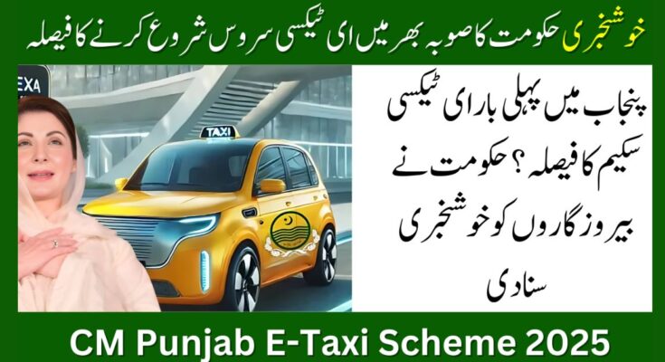 CM Punjab E-Taxi Scheme