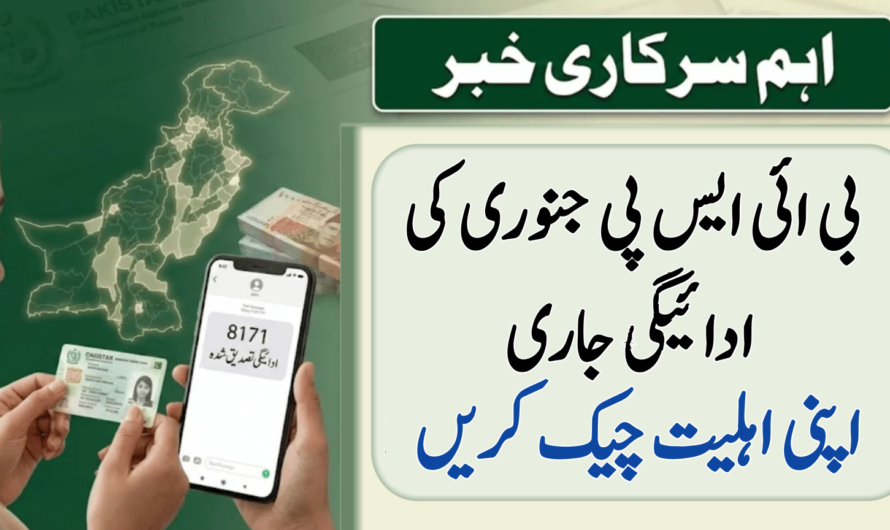 BISP January 2026 Payment Update: Complete Guide