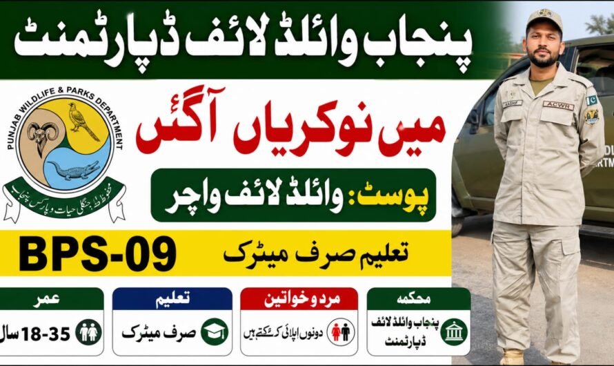 Punjab Wildlife & Parks Department Jobs 2026 – Latest Advertisement